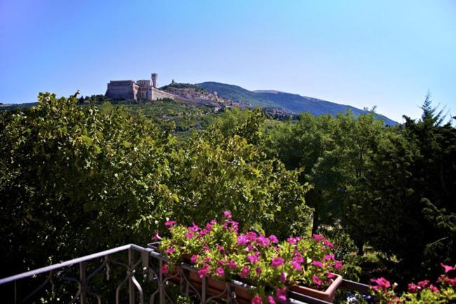 Country House Carfagna Assisi Ngoại thất bức ảnh